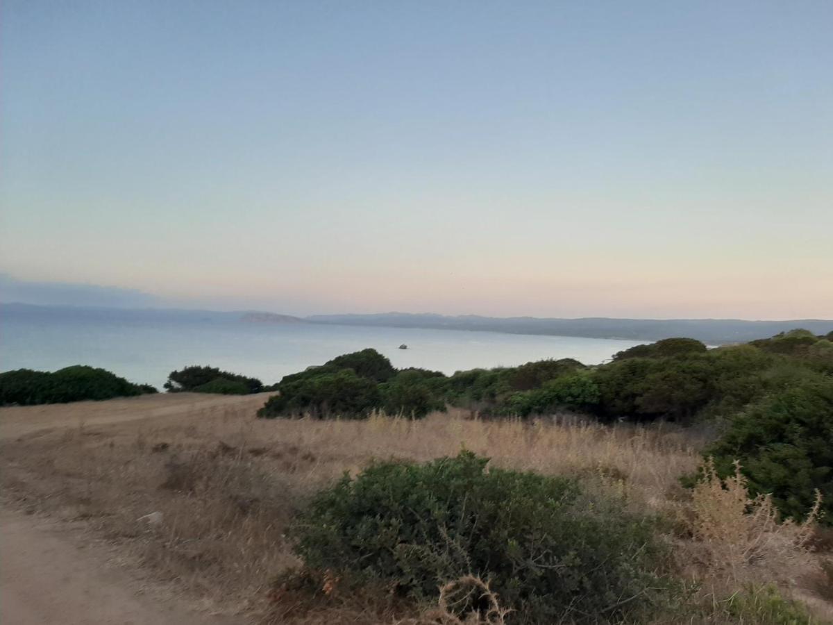 Appartamento Residence Mirice Vignola Mare Aglientu Casa Giorgia Exterior foto